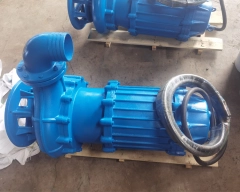 Electric Submersible Slurry Pump